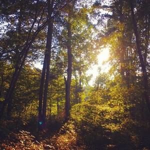 Meet your Posher, Marco